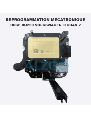 REPROGRAMMATION MECATRONIQUE DSG6...