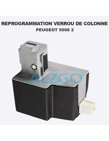 REPROGRAMMATION VERROU DE COLONNE...
